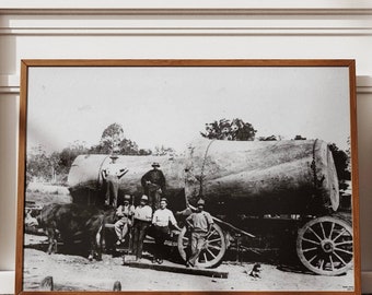 Forestry Australia Digital Print, Logging Digital Print, Historical Logging Print