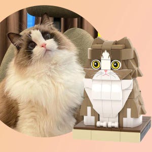 Customizable Cat Brick Figure: Personalized Feline Keepsake