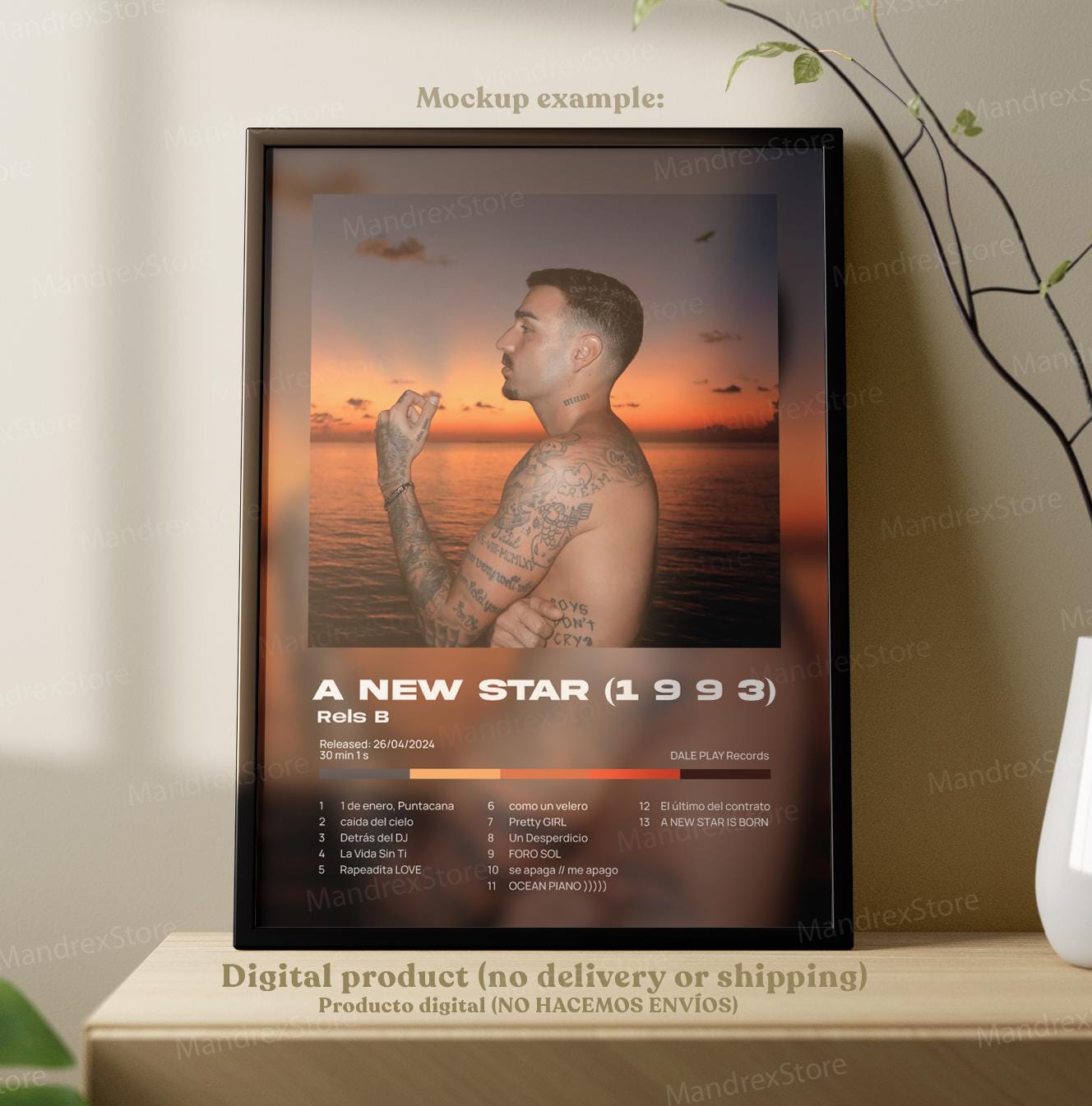 Potadas Rels Bpc RELS B (3x1) A New Star (1993), Álbum 2024 Portadas Digitales | Póster ...