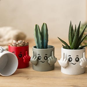 May include: Four small, ceramic plant pots in white, red, and gray, each with a face and hands giving the middle finger. The pots hold succulents and cacti. The pots are on a wooden surface.