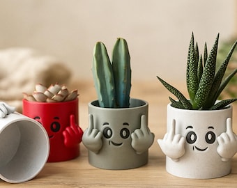 Stinkefinger Blumentopf lustig, Sukkulenten Topf Humor, Schreibtisch Deko witzig, Geschenk Kollege, 3D Druck Frankreich