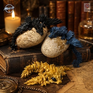 Dragon articulé fantasy figurine livre, cadeau lectrice romantasy booktok, dragon cavalier collection déco étagère, impression 3D France