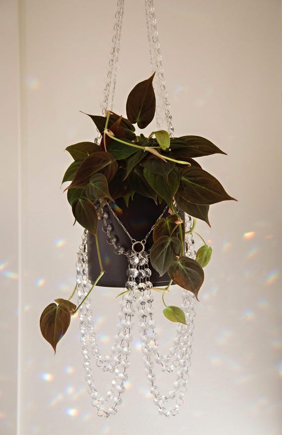 indoor plant kit Indoor Plant Watering Device, Automatic Drip Irrigation Kit for 20 Pot