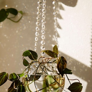 May include: A clear glass spherical hanging planter suspended by three faceted crystal bead chains. The planter contains water and a trailing plant with dark green, heart-shaped leaves featuring light green veins, creating light reflections.