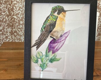 Framed Colored Pencil Giclee Art Print of Hummingbird on a Purple Flower Drawing