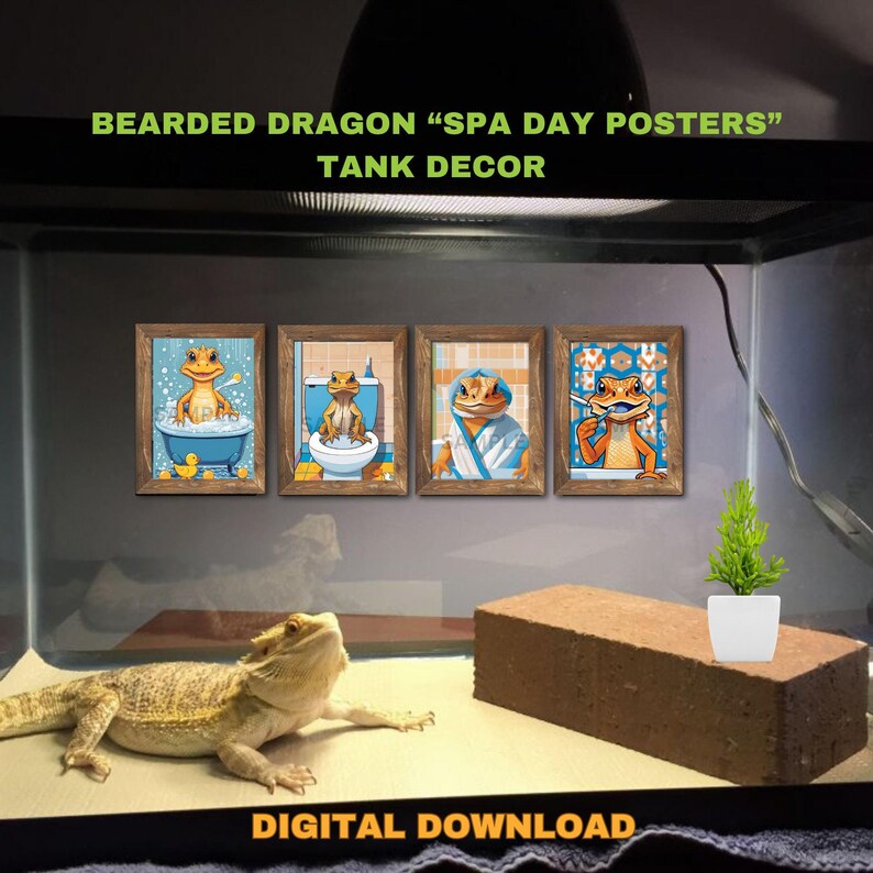 Bearded Dragon Tank Decoration Posters, Instant Download Bearded Dragon