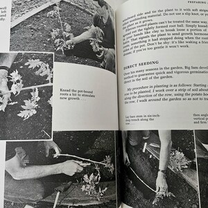 Vintage 1990s Step by Step Organic Vegetable Gardening Book, Vintage ...