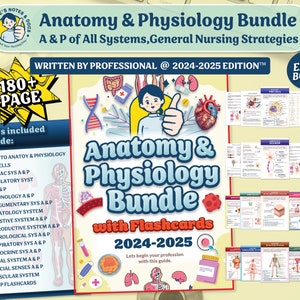 Bundel menselijke anatomie en fysiologie met flashcards: studiegids anatomie, aantekeningen verpleegkunde *ALLE SYSTEMEN* PDF-bestand direct downloaden
