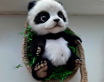 Panda, petit panda mignon