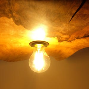 May include: A warm, glowing light bulb hangs from a wooden ceiling fixture. The wood has a natural, organic shape and a rich, golden-brown color. The light bulb is clear and emits a bright, yellow light, creating a cozy ambiance.