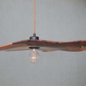 May include: A unique, handcrafted wooden pendant light fixture. The light features a natural, organic-shaped wooden shade with a warm, reddish-brown hue. A vintage-style lightbulb hangs below. The fixture is suspended by a thin, orange cord.
