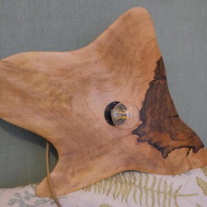 May include: A unique wooden lamp with a natural, organic shape. The light fixture is made from a single piece of light-colored wood, featuring a visible grain and a dark, textured edge. A clear light bulb is mounted in the center.