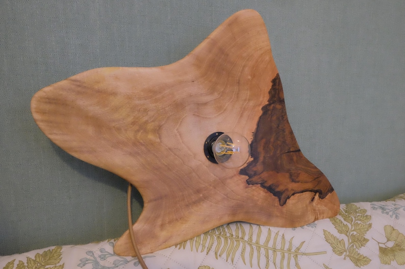 May include: A unique wooden lamp with a natural, organic shape. The light fixture is made from a single piece of light-colored wood, featuring a visible grain and a dark, textured edge. A clear light bulb is mounted in the center.