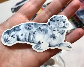 Harbor Seal Vinyl Sticker
