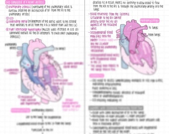 Soins infirmiers en pédiatrie : malformations cardiaques congénitales et maladies acquises — Notes d'étude manuscrites (8 pages)