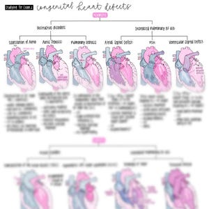 May include: An illustrated medical diagram titled "congenital heart defects" with the text "Studying for Exam 2". The diagram shows several heart illustrations with labels such as "Coarctation of Aorta" and "Aortic Stenosis".