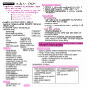 May include: A handwritten study guide on preterm labor, featuring notes on contractions, cervical changes, and contributing factors. The text includes medical terminology and is written on a grid paper background.