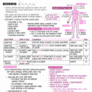 Pode incluir: Um guia de estudo médico manuscrito sobre queimaduras, com diagramas e notas sobre classificações, tratamentos e a regra dos nove. O texto está em tinta preta e rosa em papel branco.