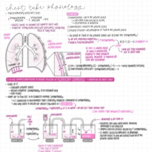 Könnte beinhalten: Eine handschriftliche medizinische Diagramm auf kariertem Papier, das die Physiologie der Thoraxdrainage detailliert. Das Diagramm enthält beschriftete Illustrationen von Lungen, Pleurahöhlen und Drainagesystemen, mit Text zur Erklärung von Konzepten.