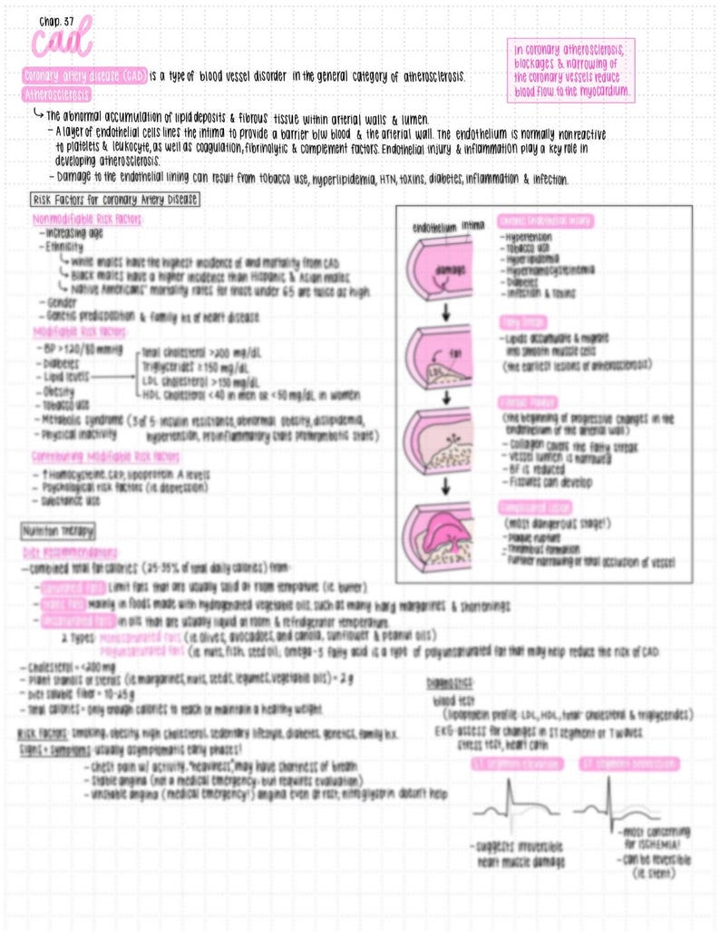 Medical Study Guide Medical Surgical Nursing I: COMPLETE COURSE BUNDLE - Handwritten Study ...