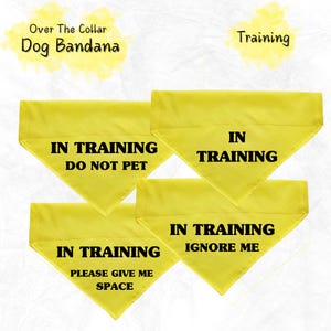 Puede incluir: Cuatro bandanas amarillas para perros con texto negro. Las bandanas dicen "En entrenamiento No acariciar", "En entrenamiento", "En entrenamiento Por favor dame espacio", y "En entrenamiento Ignórame".