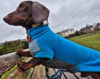 May include: A brown dachshund wearing a blue fleece coat, silver collar and heart-shaped tag. The dog is on a wooden bench, with a green grassy area and houses in the background. The dog is looking to the left.