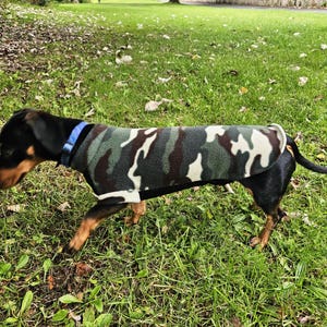 Peut inclure: Un petit chien portant un manteau à motif camouflage, marchant sur de l'herbe verte. Le manteau présente des nuances de vert, de marron et de blanc. Le chien a des poils noirs avec des pattes marron et un collier bleu.