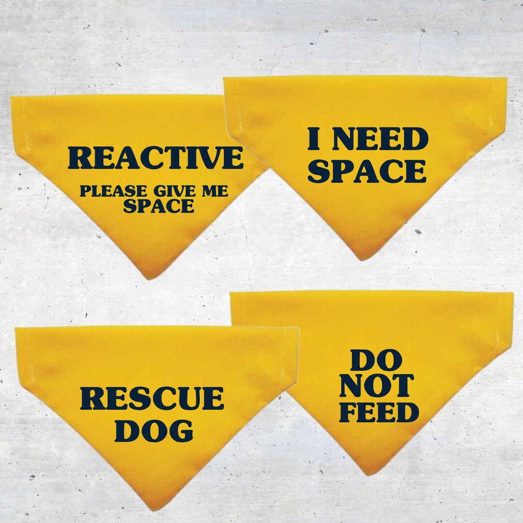 Yellow Reactive I Need Space, Rescue Dog Do Not Feed, Bandana, Warn