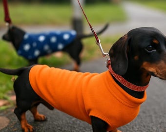 May include: Two dachshund dogs on leashes, one wearing an orange fleece sweater and the other a blue fleece sweater with white polka dots. The dogs are black and tan, walking on a paved path.