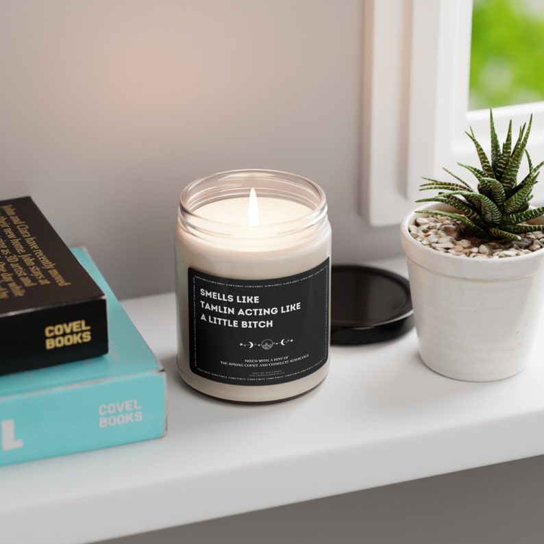 NEW SCENTS Tamlin's a Bitch Candle, Acotar fan gift, acomaf A court of thorns and roses merch, Velaris Candle, Book Lover, Cassian, Rhysand image 5