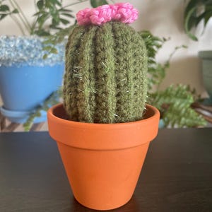 Handmade Cactus