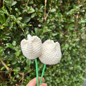 Op de afbeelding: Twee handgemaakte gehaakte tulpen met crèmekleurige bloemhoofden en groene stelen. De tulpen worden getoond tegen een achtergrond van groen gebladerte. Het haakwerk is gedetailleerd en toont de textuur van het garen.