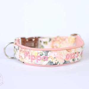 Personalized Dog Collar - Custom Dog Collar for Medium Dog/Large Dog - Embroidered Collar with Name Telephone Number - Padded Custom Collar