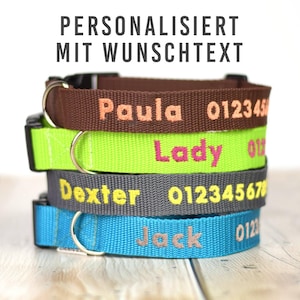 Personalized Dog Collar with Custom Name Embroidery - Add your dogs name, phone number or a custom text! Multiple colors to choose from!