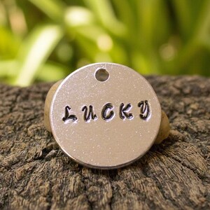 Peut inclure: Une étiquette circulaire argentée avec le mot "LUCKY" estampillé dessus. L'étiquette a un petit trou en haut et repose sur un morceau de bois. L'arrière-plan est un feuillage vert flou.