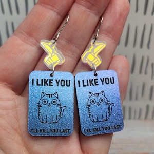 Fun Acrylic Cat Earrings: Rude Humor, Stainless Steel Hooks