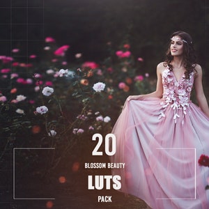 Peut inclure: Une femme en robe de tulle rose avec des embellissements floraux se tient dans un jardin avec des roses roses. Le texte "20 BLOSSOM BEAUTY LUTS PACK" est affiché sur l'image.