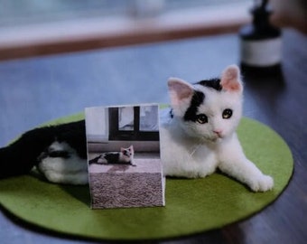 Figurine personnalisée de portrait de chat feutrée à l'aiguille, portrait d'animaux/animaux de compagnie en feutre personnalisé, réplique réaliste de chat, cadeau commémoratif pour amoureux des chats