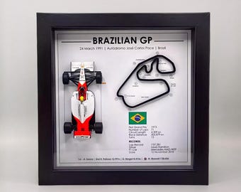 Gran Premio de Brasil de Ayrton Senna de 1991 – McLaren MP4/6 #1