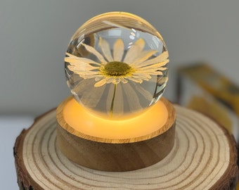 Esfera de resina de flor de margarita de ojo de buey con base de luz, bola de cristal de resina 3D, lámpara de mesa de flor de margarita de ojo de buey, arte floral hecho a mano, regalos para ella