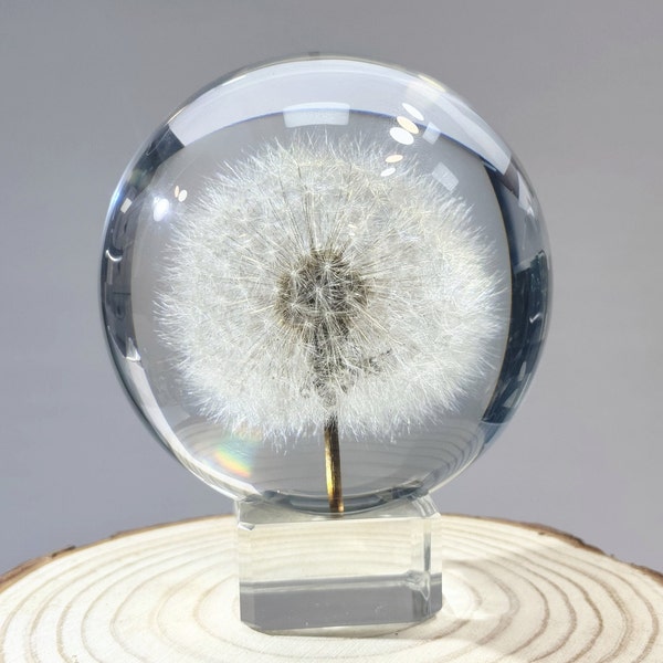 Dandelion crystal ball,Dandelion resin paperweight,Dandelion Sphere,Dandelion in resin,Transparent,Birthday Gifts,Gifts for Mom,Home Decor