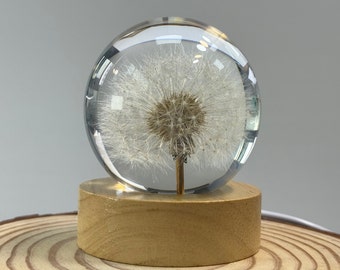 Dandelion Resin Sphere with Light Base,Dandelion sphere Nightlight,Real dandelion seeds in Resin,Desk lamp ornament,friend birthday gifts