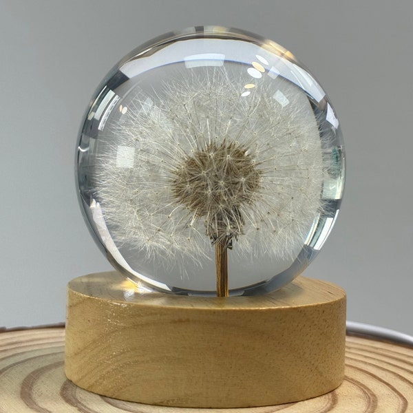 Dandelion Resin Sphere with Light Base,Dandelion sphere Nightlight,Real dandelion seeds in Resin,Desk lamp ornament,friend birthday gifts