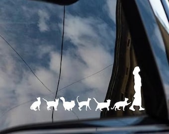 Crazy Cat Lady Scratch Car Bumper Window Vinyl Sticker Decal