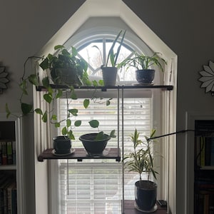 Hanging plant shelf