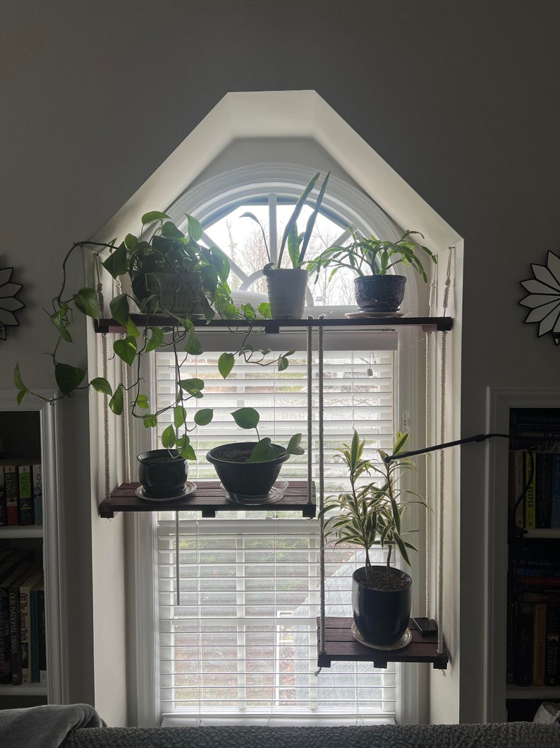 Hanging Plant Shelf - Etsy