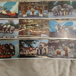 Ensemble de cartes postales Jardin Zoologique de Saint Louis 1950.Vintage.Enveloppe.Les cartes postales ne sont pas signées