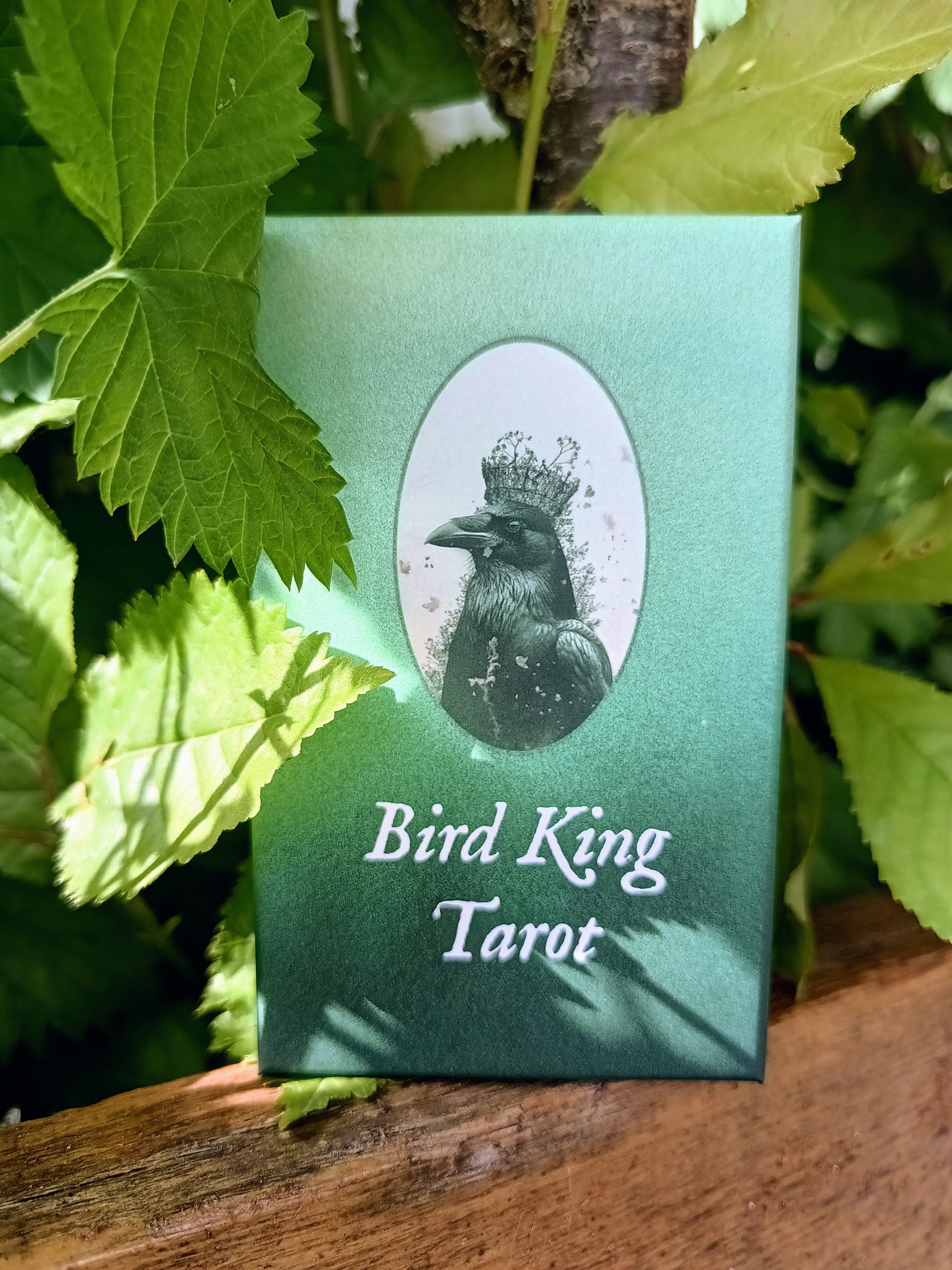 Bird King Tarot Deck: Slavic Post-apocalyptic Tarot Cards by Lida