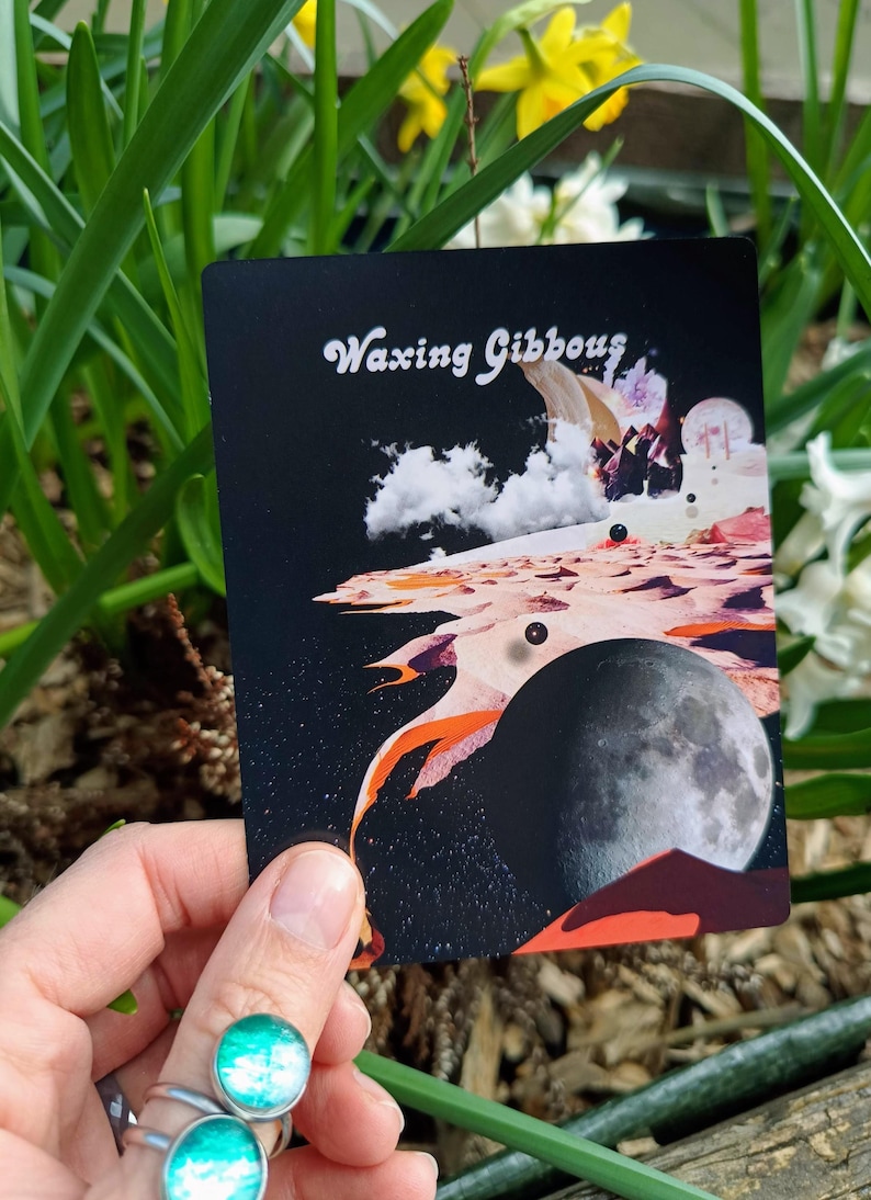 Celestial Bodies Astrology and Numerology Deck: for learners and practitioners * by Devany Amber Wolfe image 5