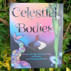 Celestial Bodies Astrology and Numerology Deck: for learners and practitioners * by Devany Amber Wolfe image 12
